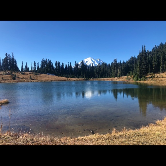 Meet your Posher, Steve - Picture 1 of 1